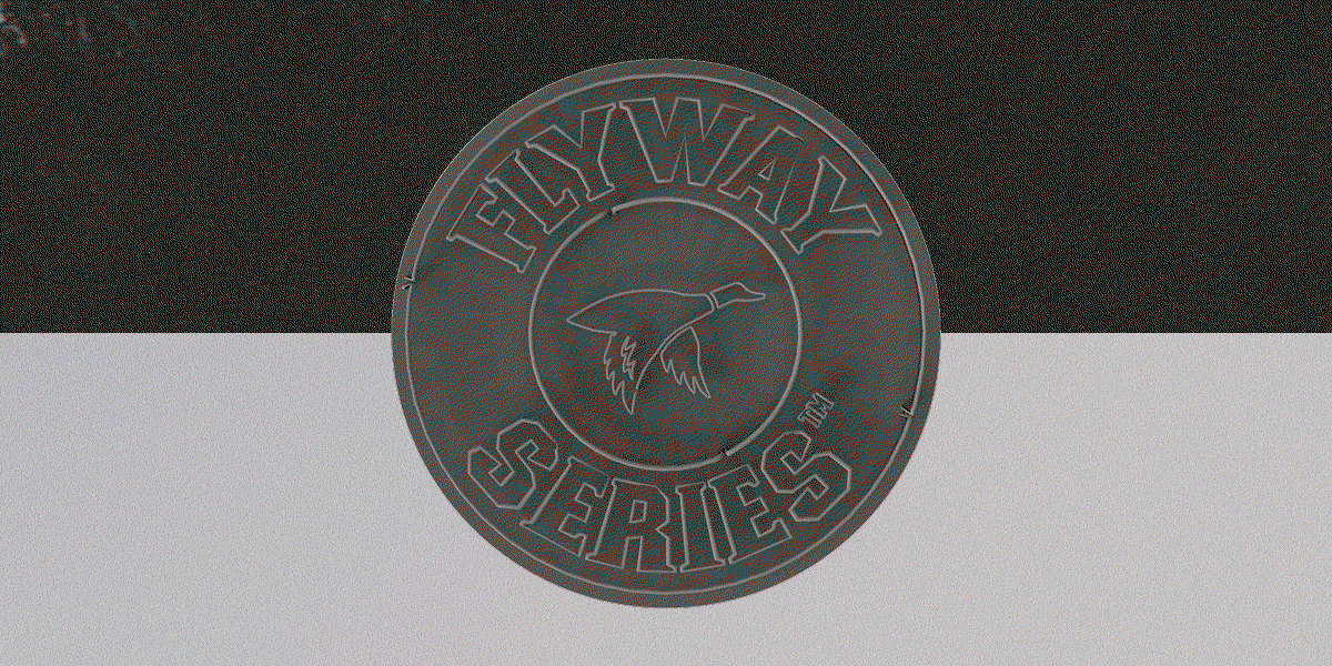Flyway Series