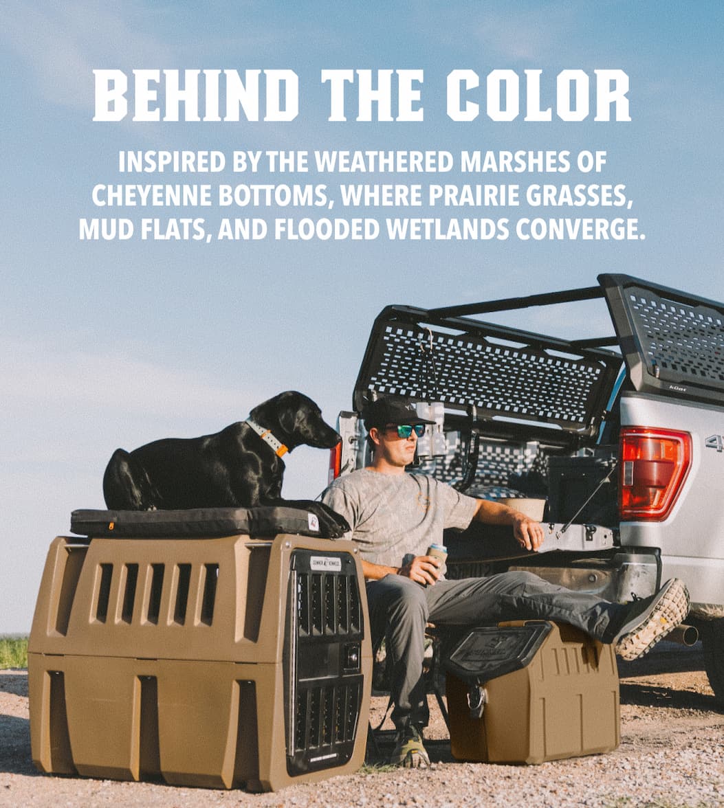 Behind the Color