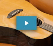 Chatting and Jamming With Breedlove's New Owners 