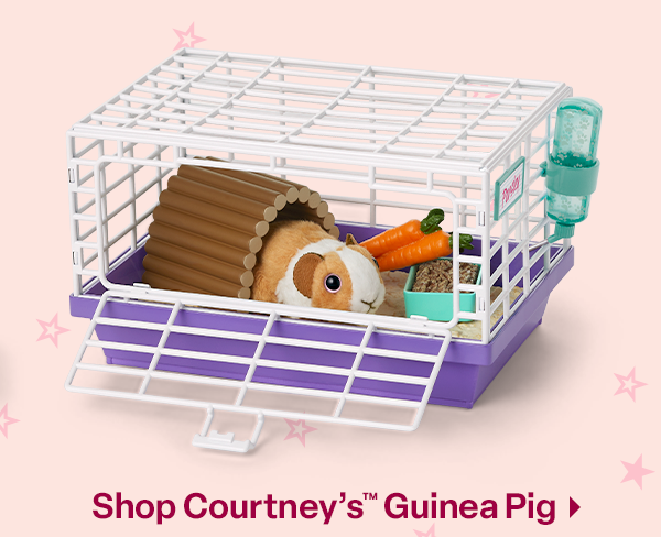 Shop Courtneys, Guinea Pig