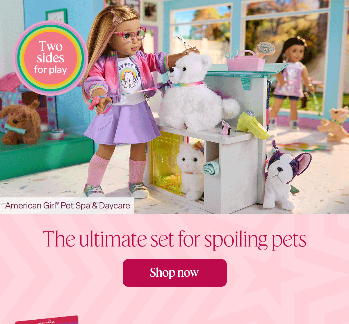 the ultimate set for spoiling pets. Shop Now. 