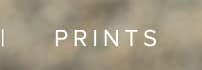 PRINTS