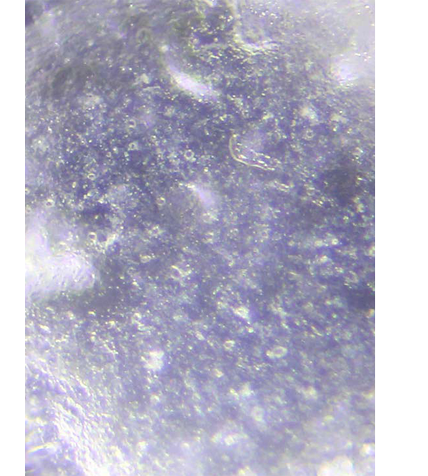 Microscopic view of lightweight mineral sunscreen formula texture