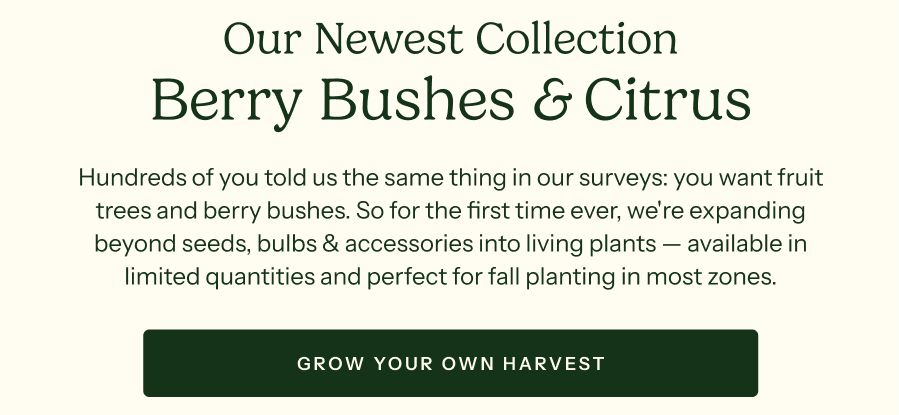 Our Newest Collection Berry Bushes & Citrus