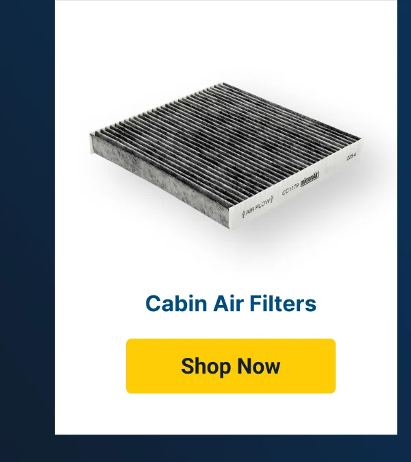 Cabin Air Filter