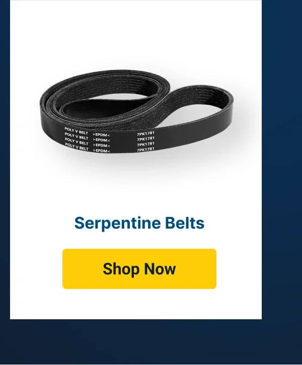 Serpentine Belts