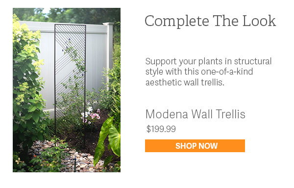 Complete The Look - Support your plants in a structural style with this one-of-a-kind aesthetic wall trellis. - Modena Wall Trellis - $199.99 - SHOP NOW