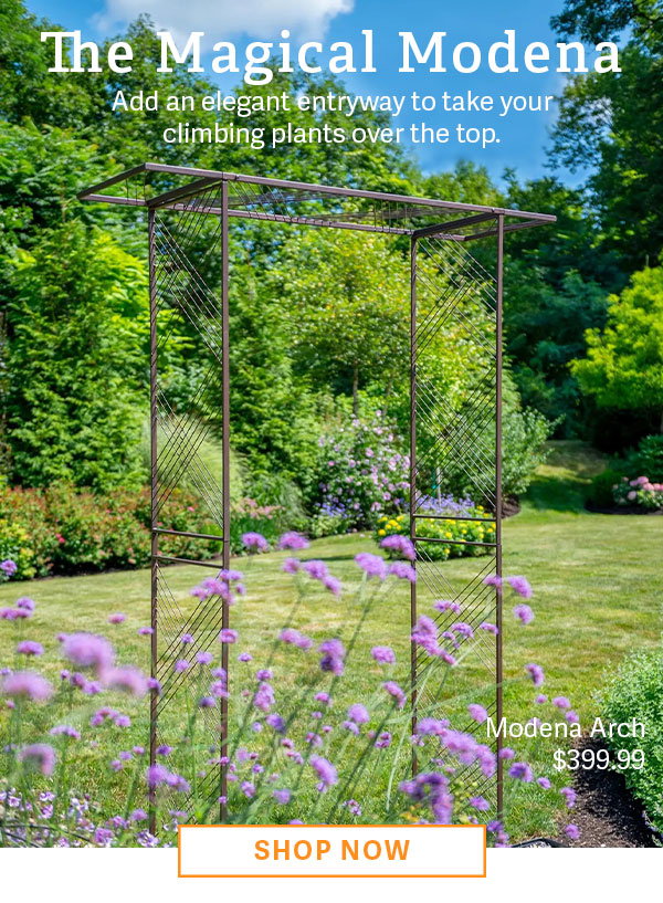The Magical Modena - Add an elegant entryway to take your climbing plants over the top. - MODENA ARCH - $399.99 - SHOP NOW