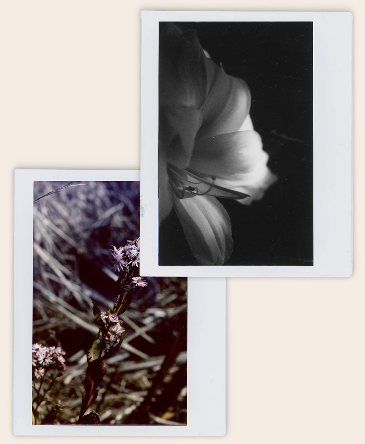 An Instant Introduction to Large Format