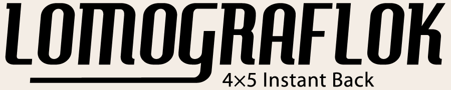 An Instant Introduction to Large Format