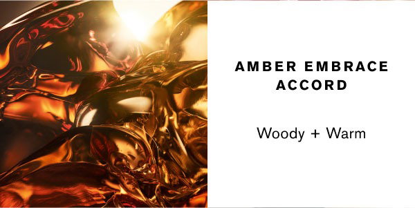 Amber embrace accord