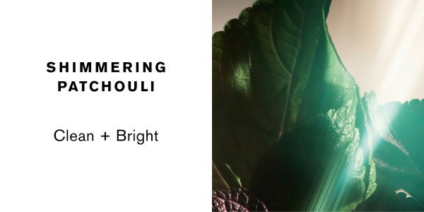 Shimmering patchouli