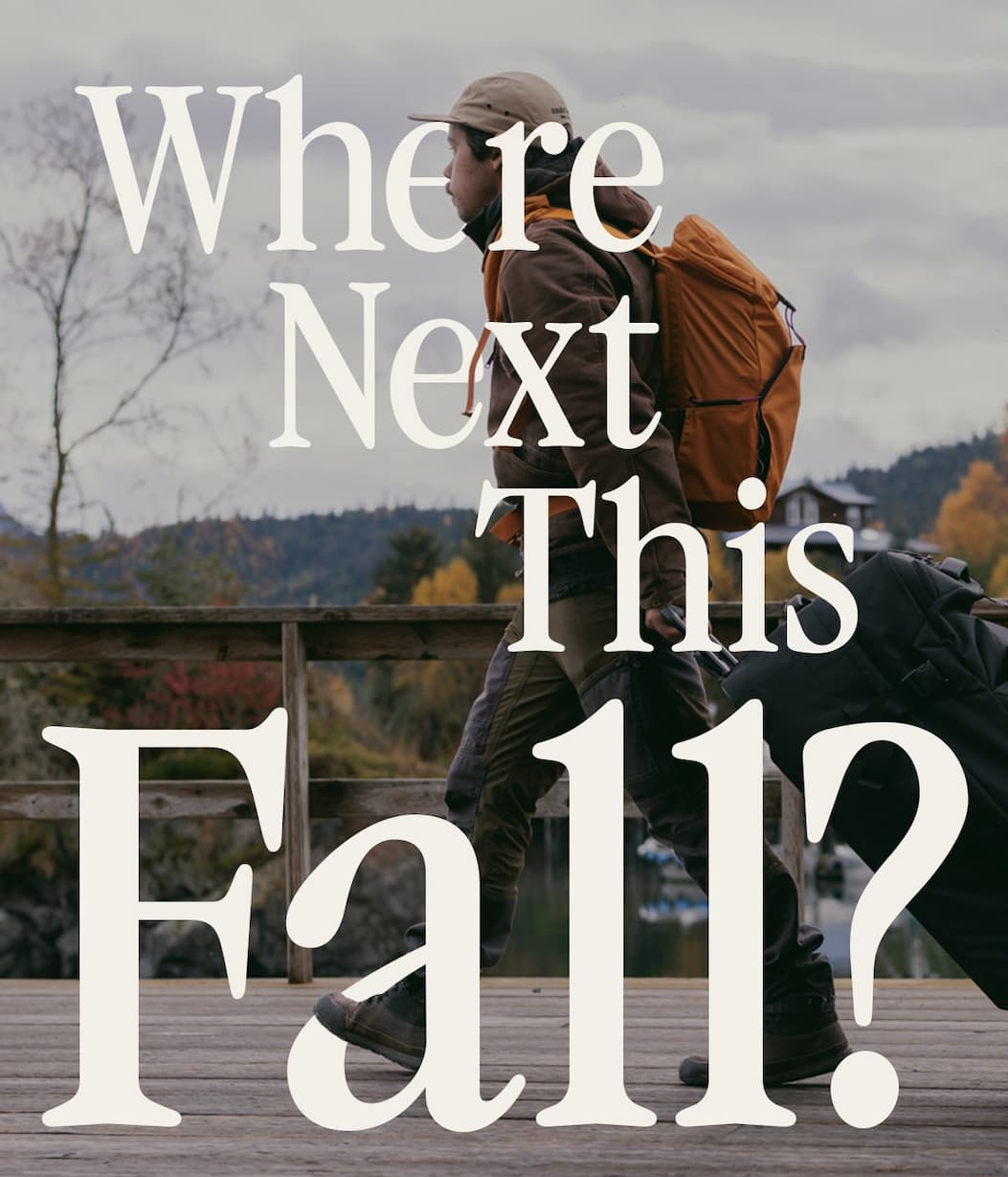 Where Next This Fall?