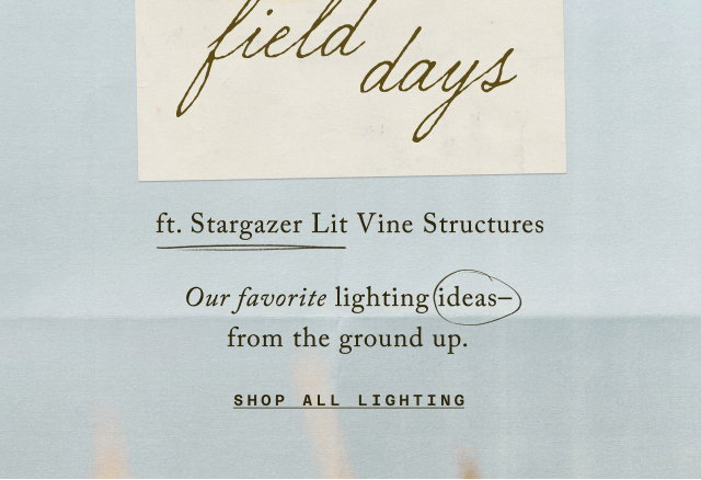 shop all lighting