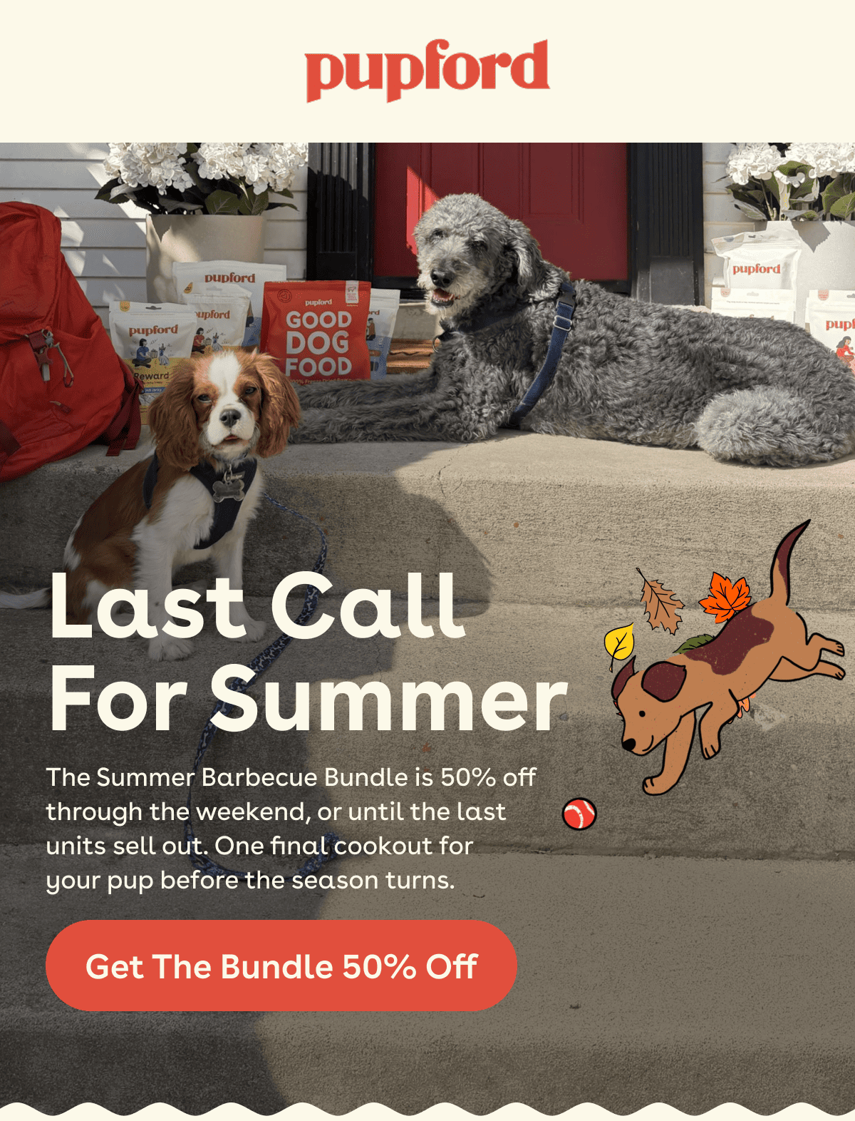 The Summer Barbecue Bundle is 50% off through the weekend, or until the last  units sell out. One final cookout for  your pup before the season turns.