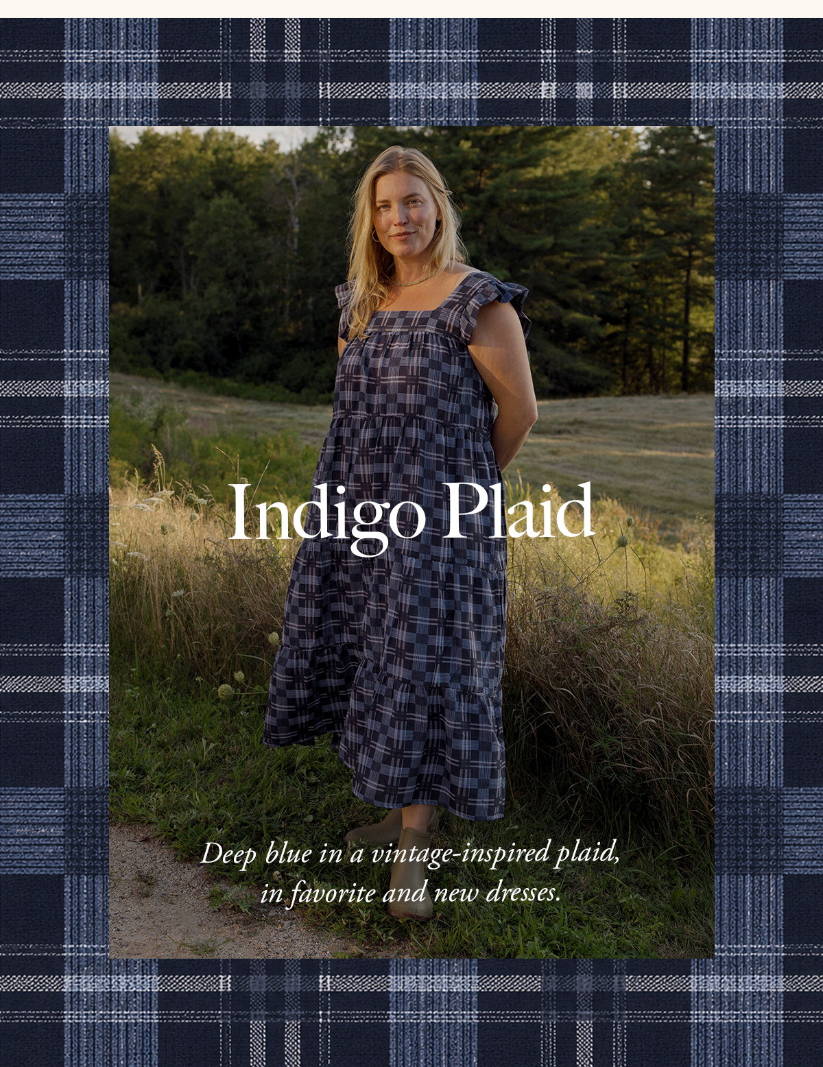 Indigo Plaid