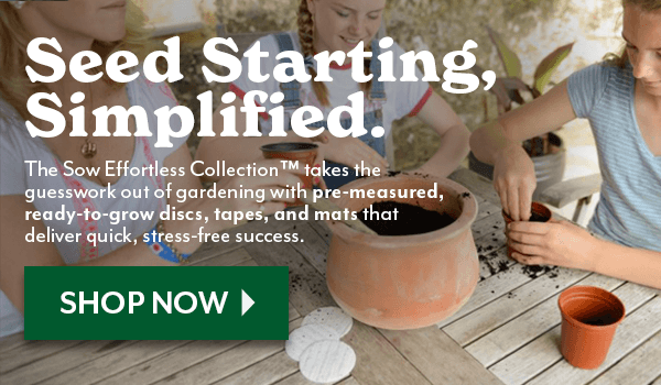 Seed Starting, Simplified - Sow Effortless Collection