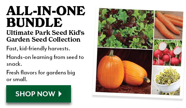 Ultimate Park Seed Kid's Garden Seed Collection
