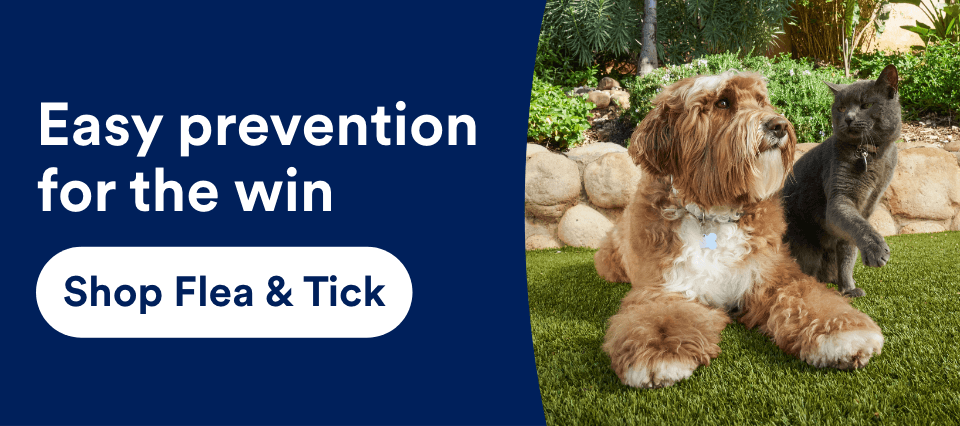 Easy prevention for the win. Shop Flea & Tick