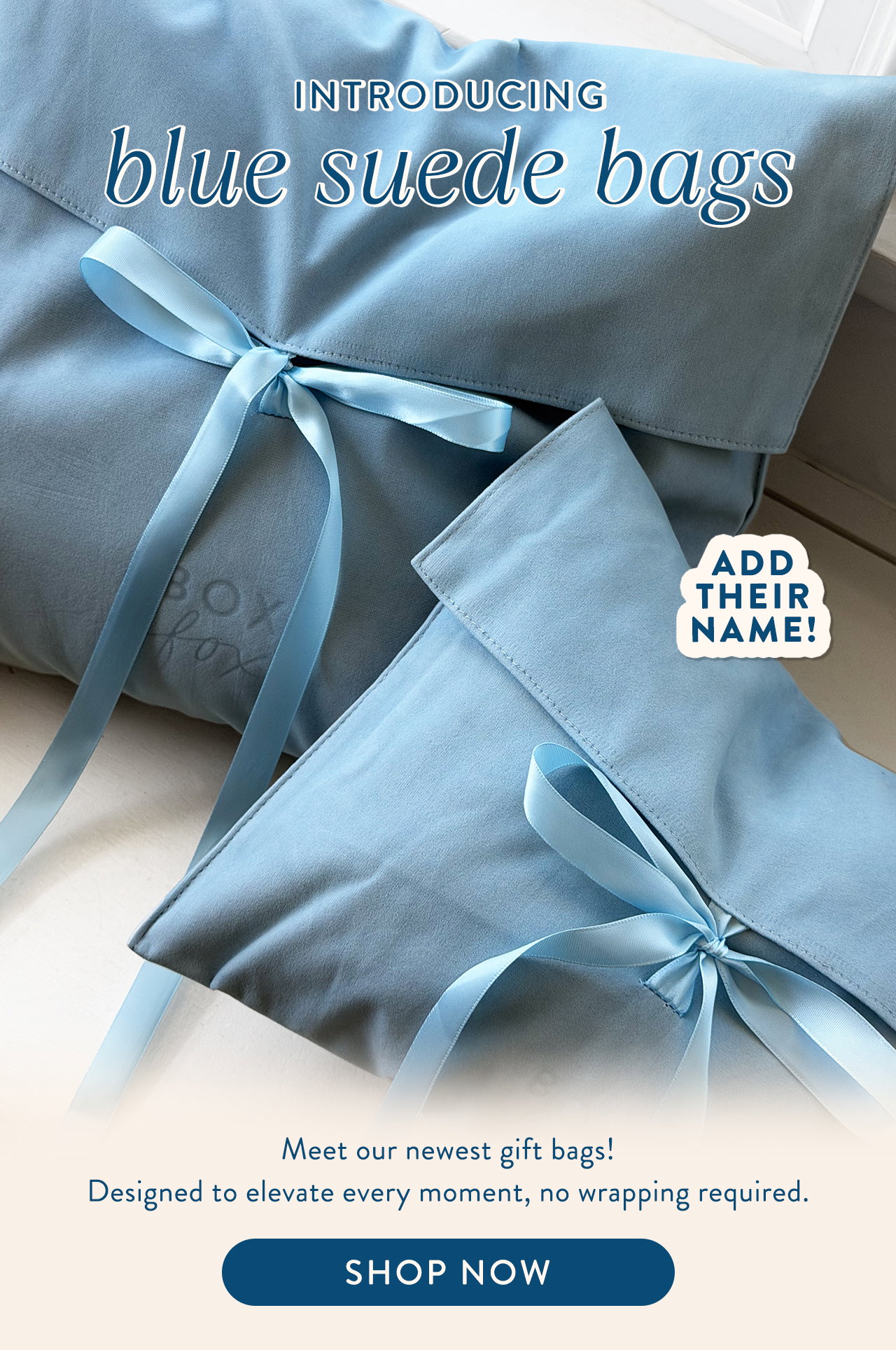 New Blue Bags! 