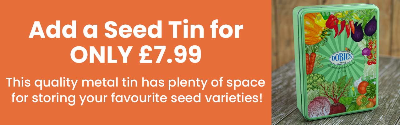 Seed Tin