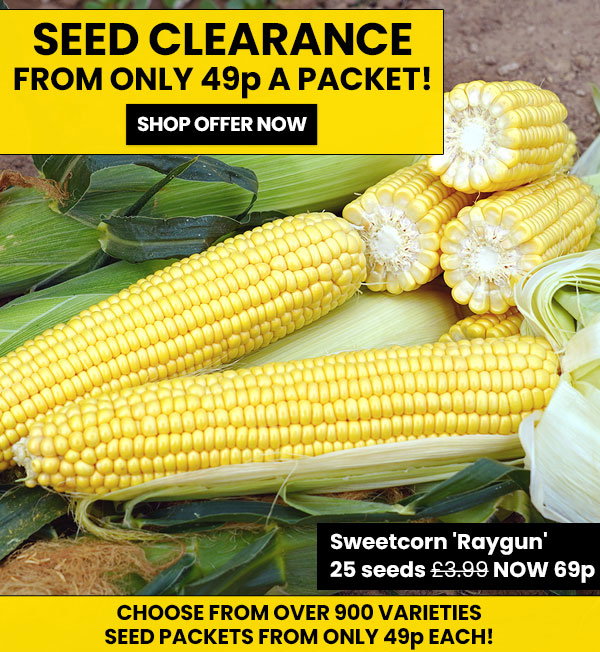 Seed Clearance
