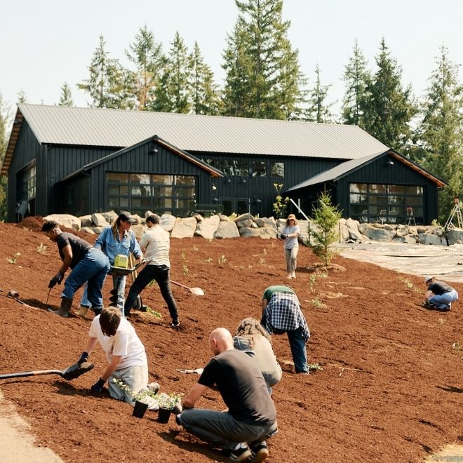Team Farmgirl planting Gunnii Hill during Camp Farmgirl