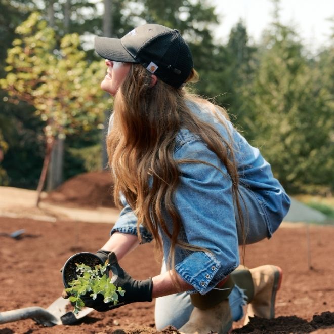 Christina Stembel planting Eucalyptus on Gunnii Hill
