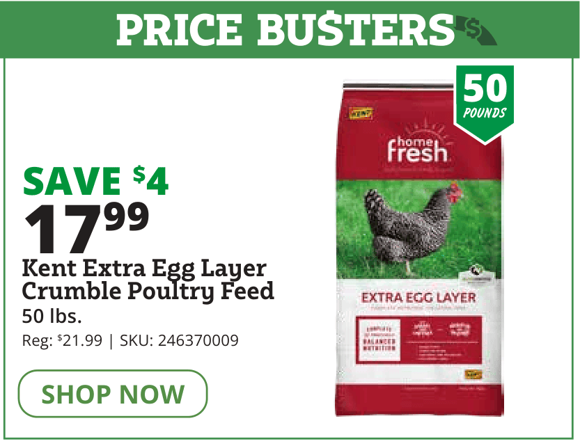 kent extra egg poultry feed