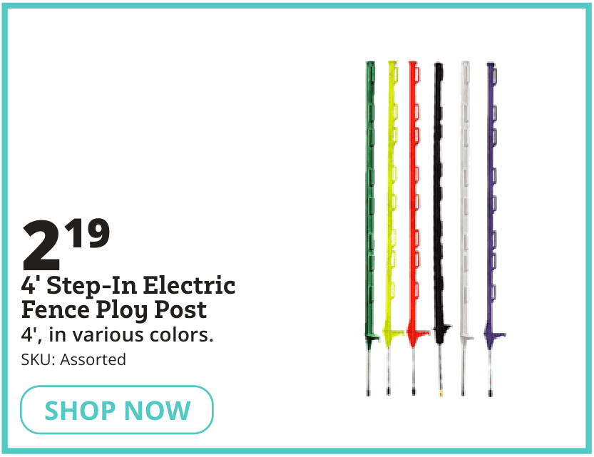 electric poly posts