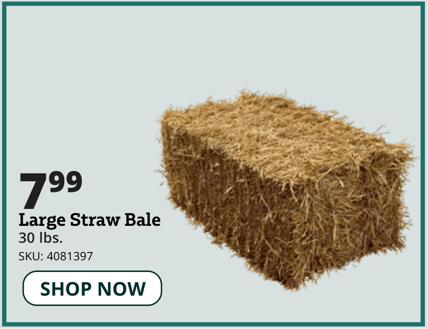 straw bale