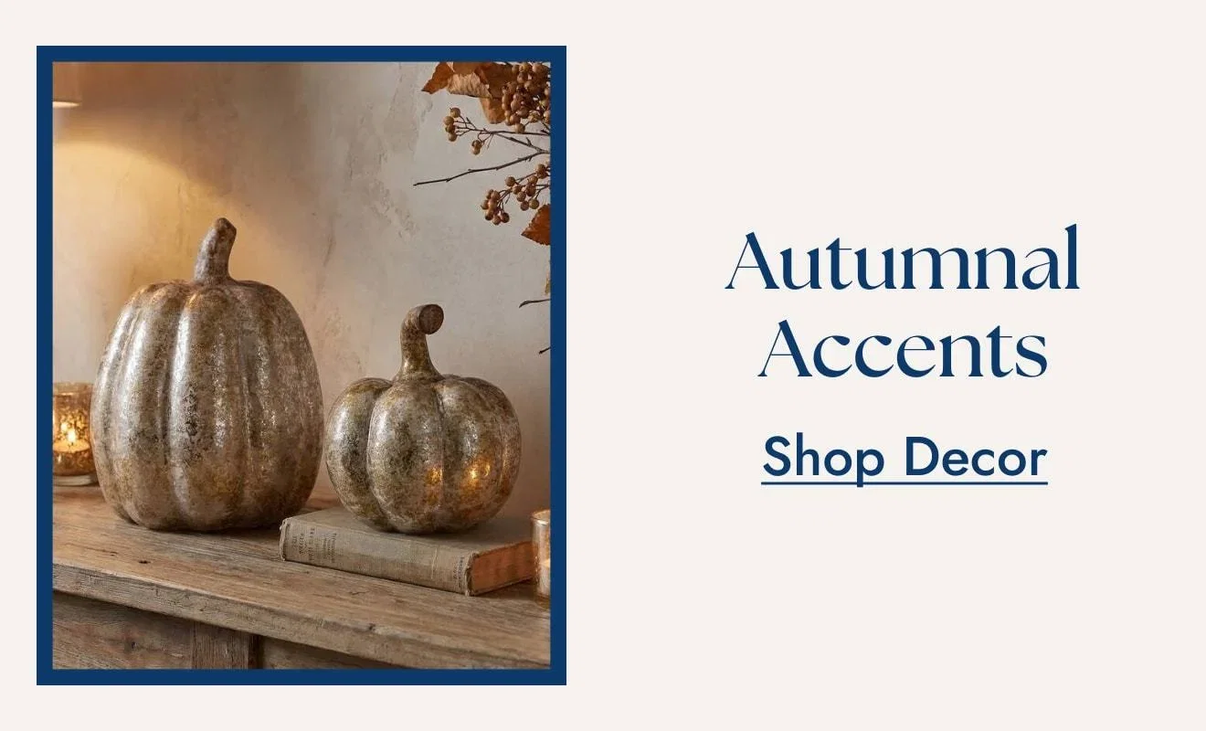 Shop Decor