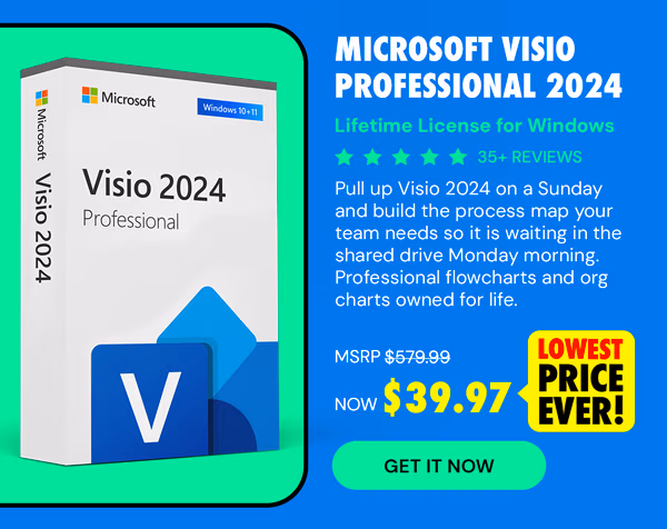 Microsoft Visio Professional 2024: Lifetime License for Windows