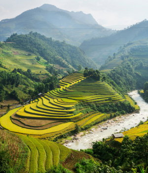 Imperial China and Vietnam