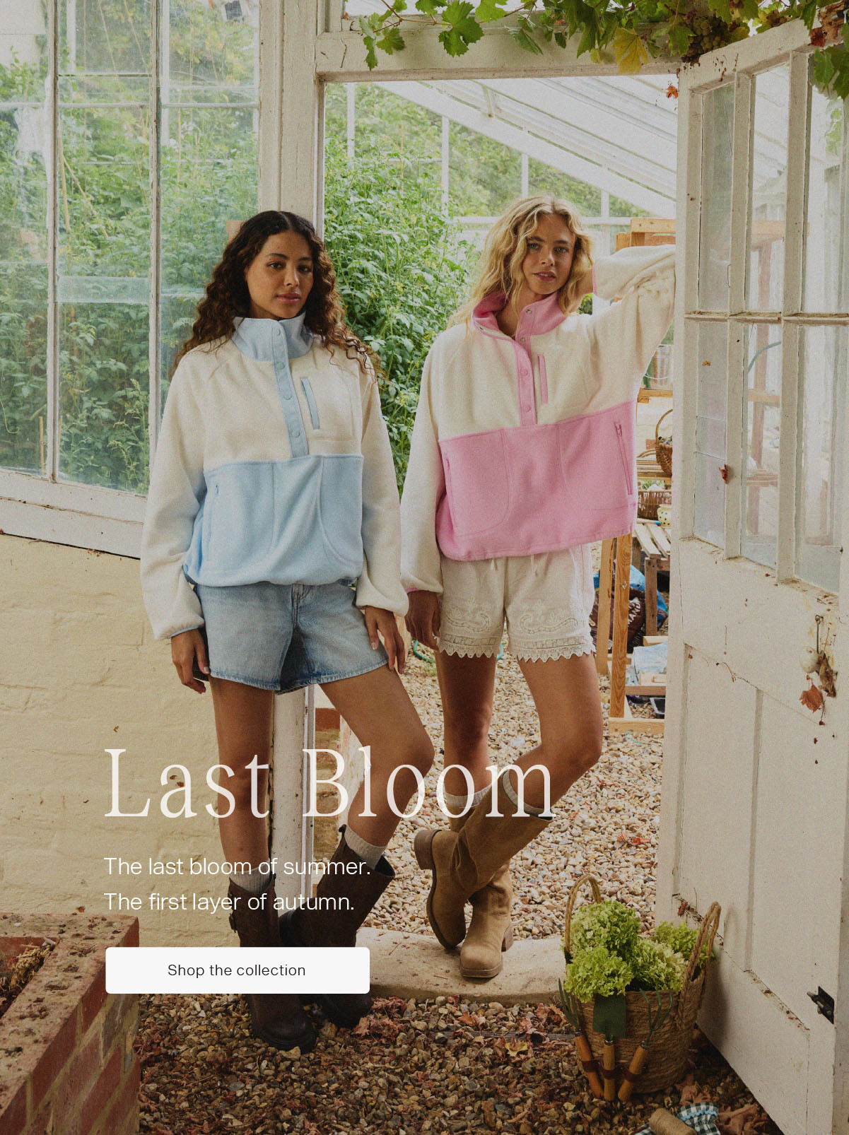 Last Bloom has arrived.