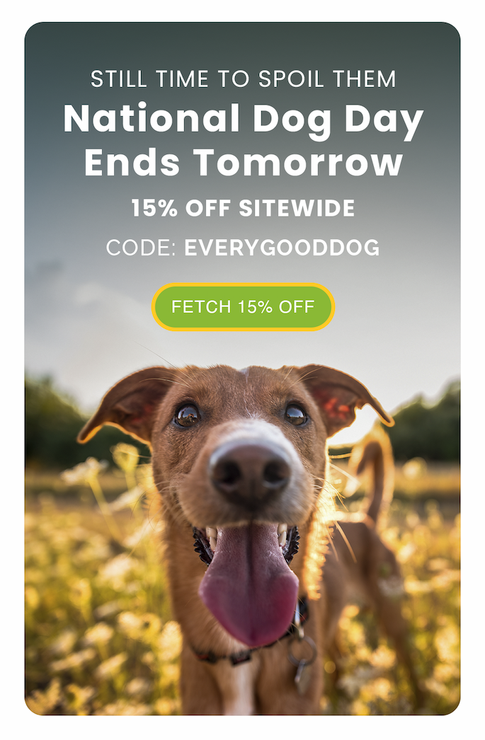 National Dog Day  Ends Tomorrow. 15% Off Sitewide | CODE: EVERYGOODDOG