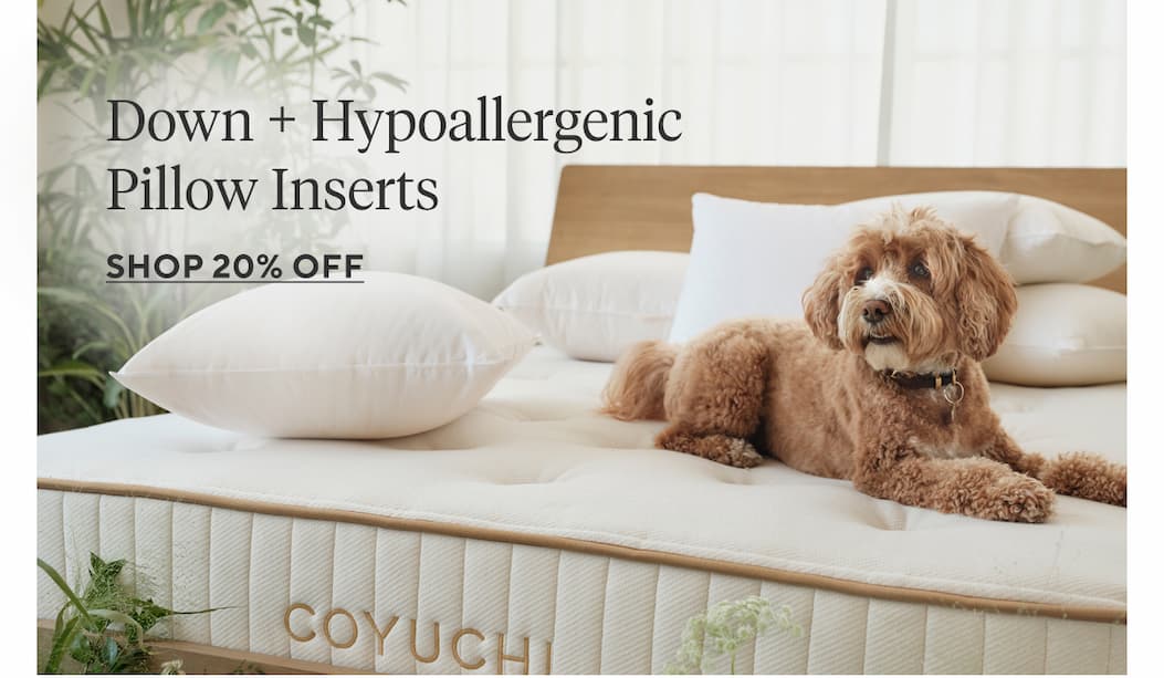 Down + Hypoallergenic Pillow Inserts Shop 20% Off >