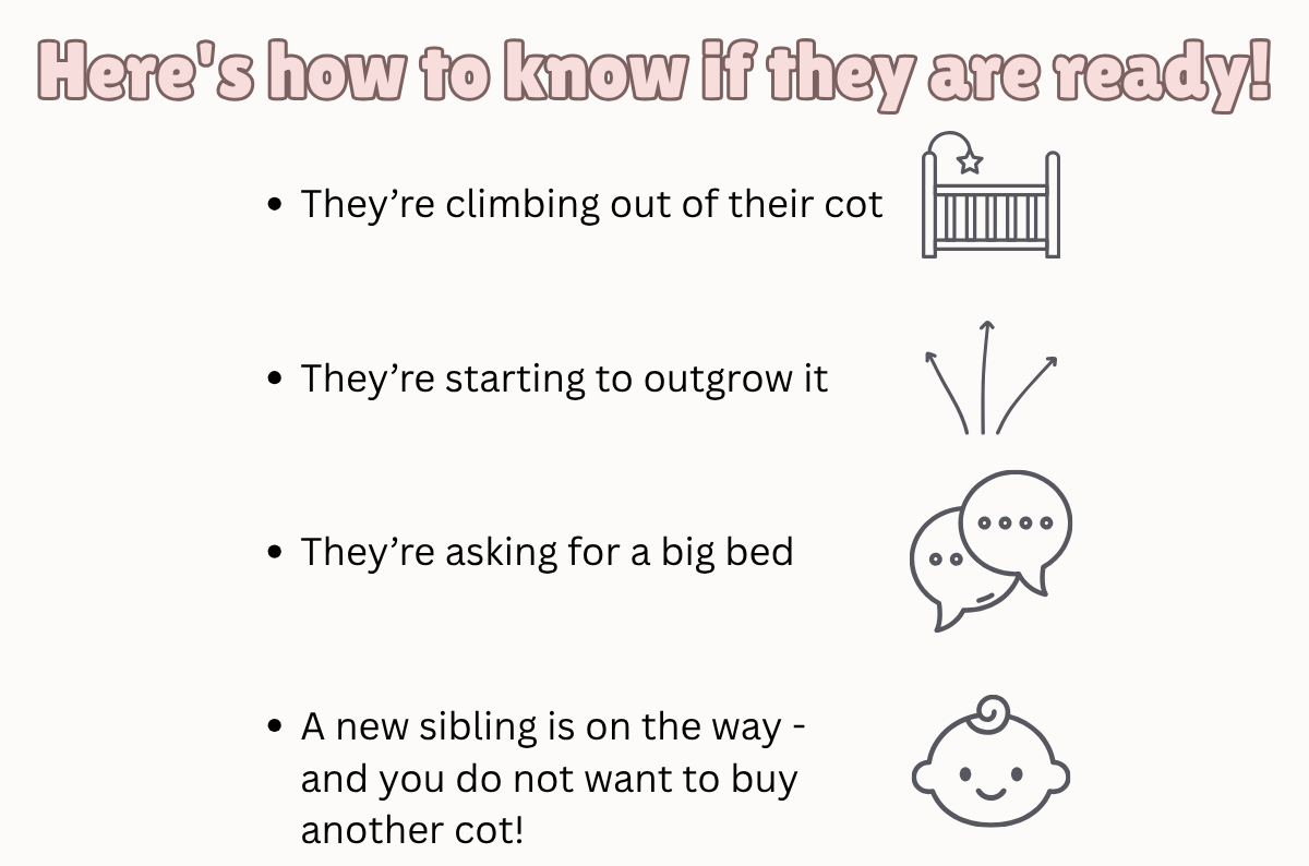 Shop Beds