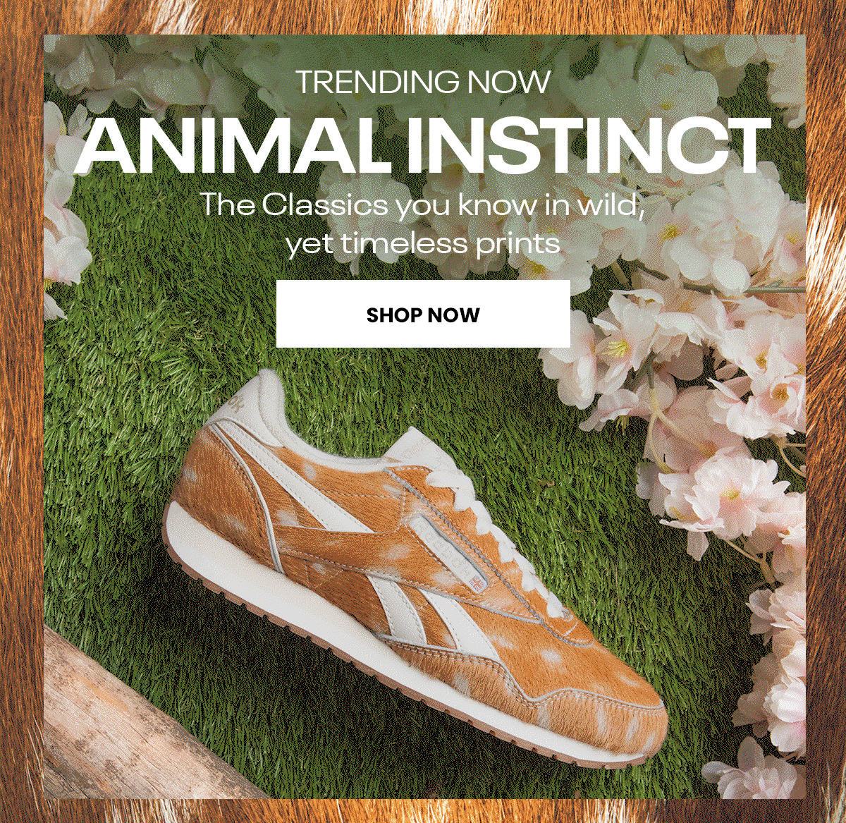 classics-trending