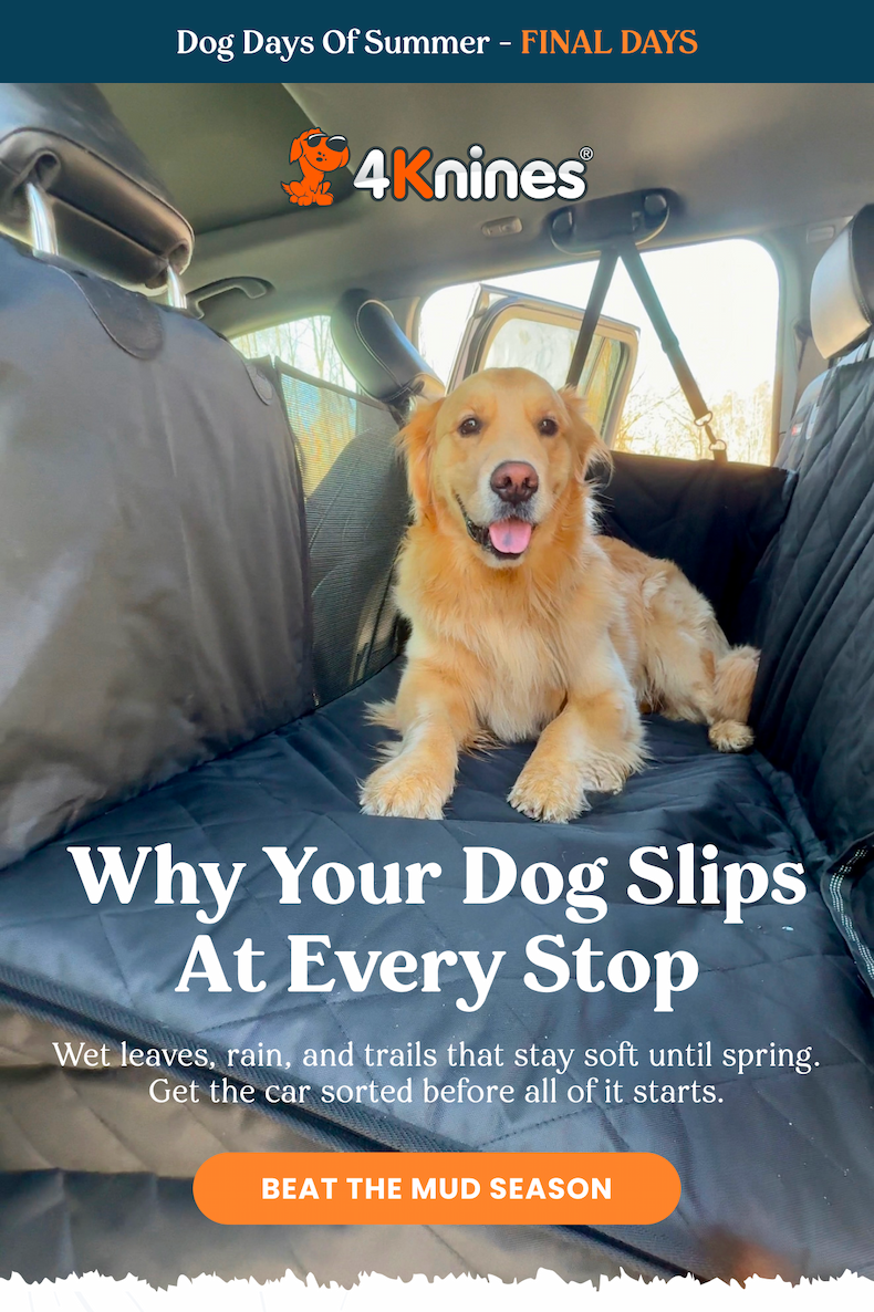 Your Dog Doesn't Take The Fall Off