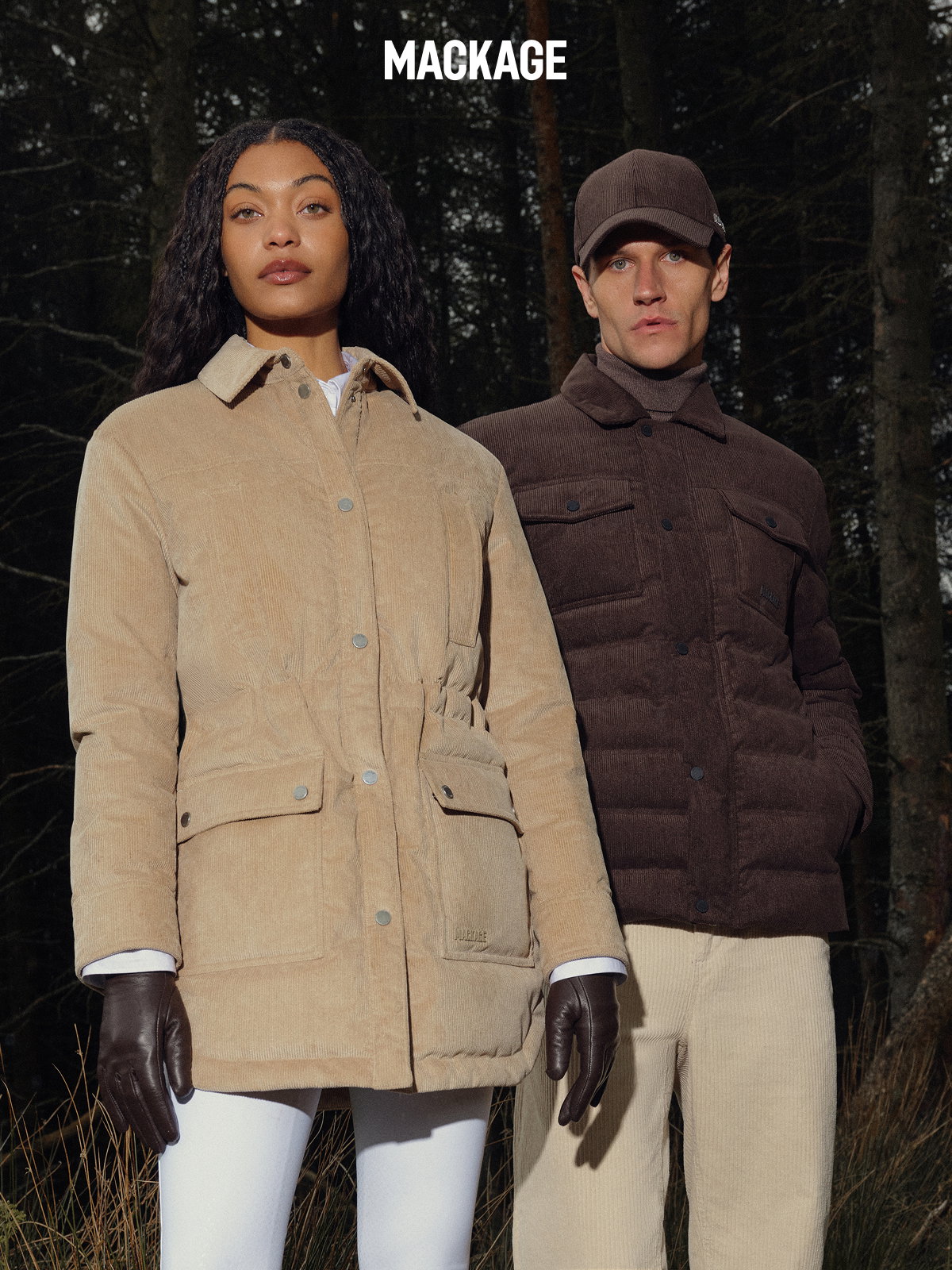 Discover the Collection