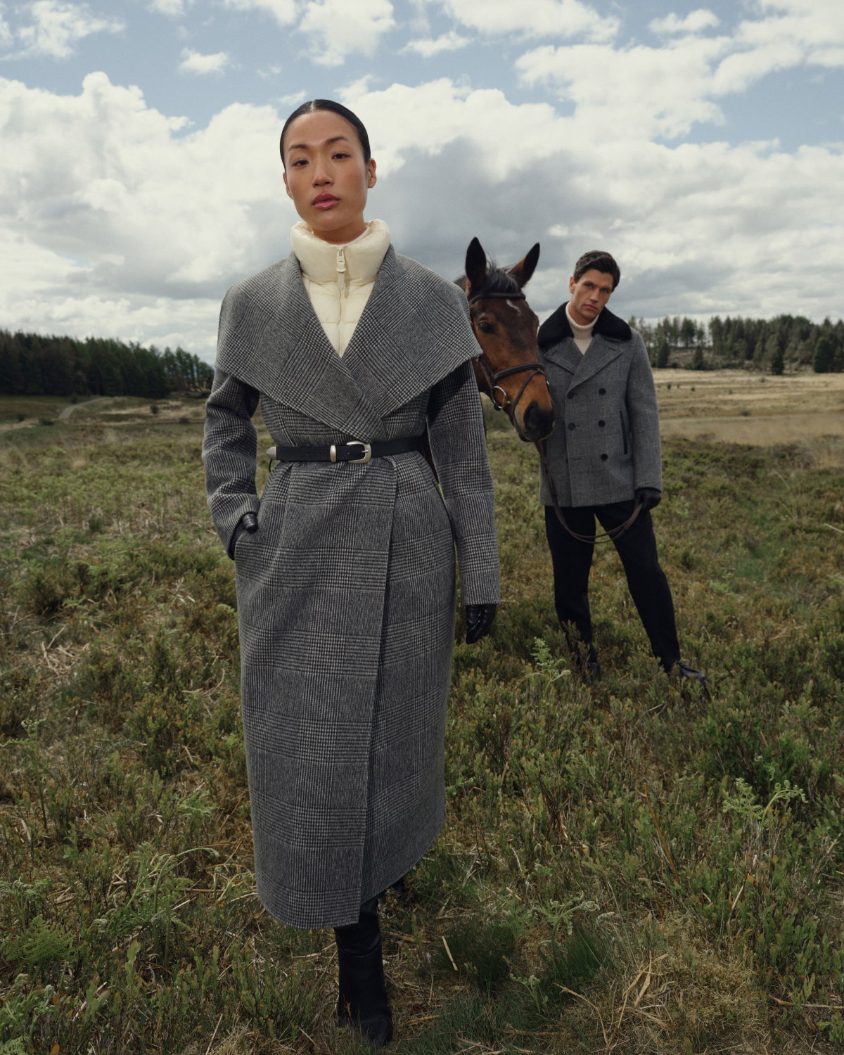 Discover new arrivals