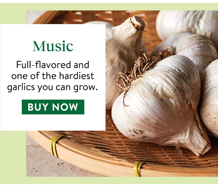 Garlic, Music