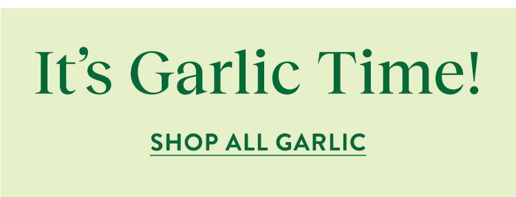 Garlic Bulbs