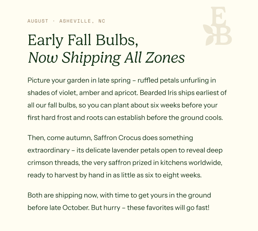 Early Fall Bulbs, Now Shipping All Zones. Picture your garden in late spring – ruffled petals unfurling in shades of violet, amber and apricot. Bearded Iris ships earliest of all our fall bulbs, so you can plant about six weeks before your first hard frost and roots can establish before the ground cools. Then, come autumn, Saffron Crocus does something extraordinary – its delicate lavender petals open to reveal deep crimson threads, the very saffron prized in kitchens worldwide, ready to harvest by hand in as little as six to eight weeks. Both are shipping now, with time to get yours in the ground before late October. But hurry – these favorites will go fast!