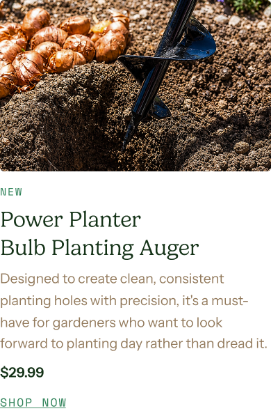 Power Planter Bulb Planting Auger - Designed to create clean, consistent planting holes with precision, it's a must-have for gardeners who want to look forward to planting day rather than dread it.