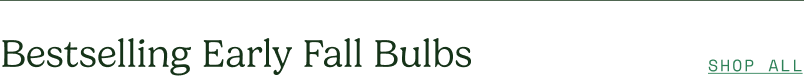 Bestselling Early Fall Bulbs