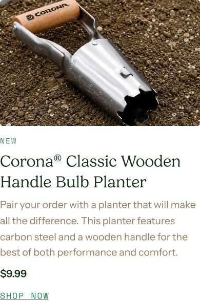 Corona® Classic Wooden Handle Bulb Planter - Pair your order with a planter that will make all the difference. This planter features carbon steel and a wooden handle for the best of both performance and comfort.