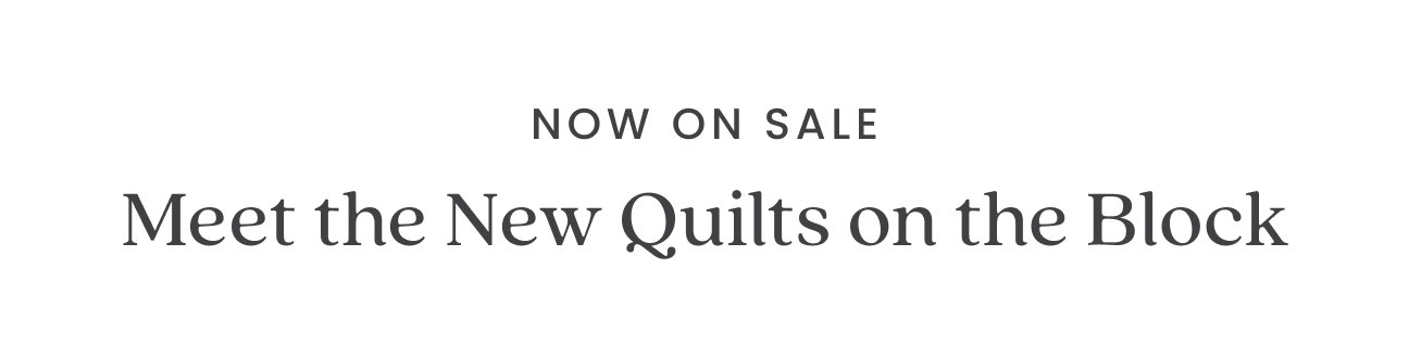 Meet the New Quilts on the Block