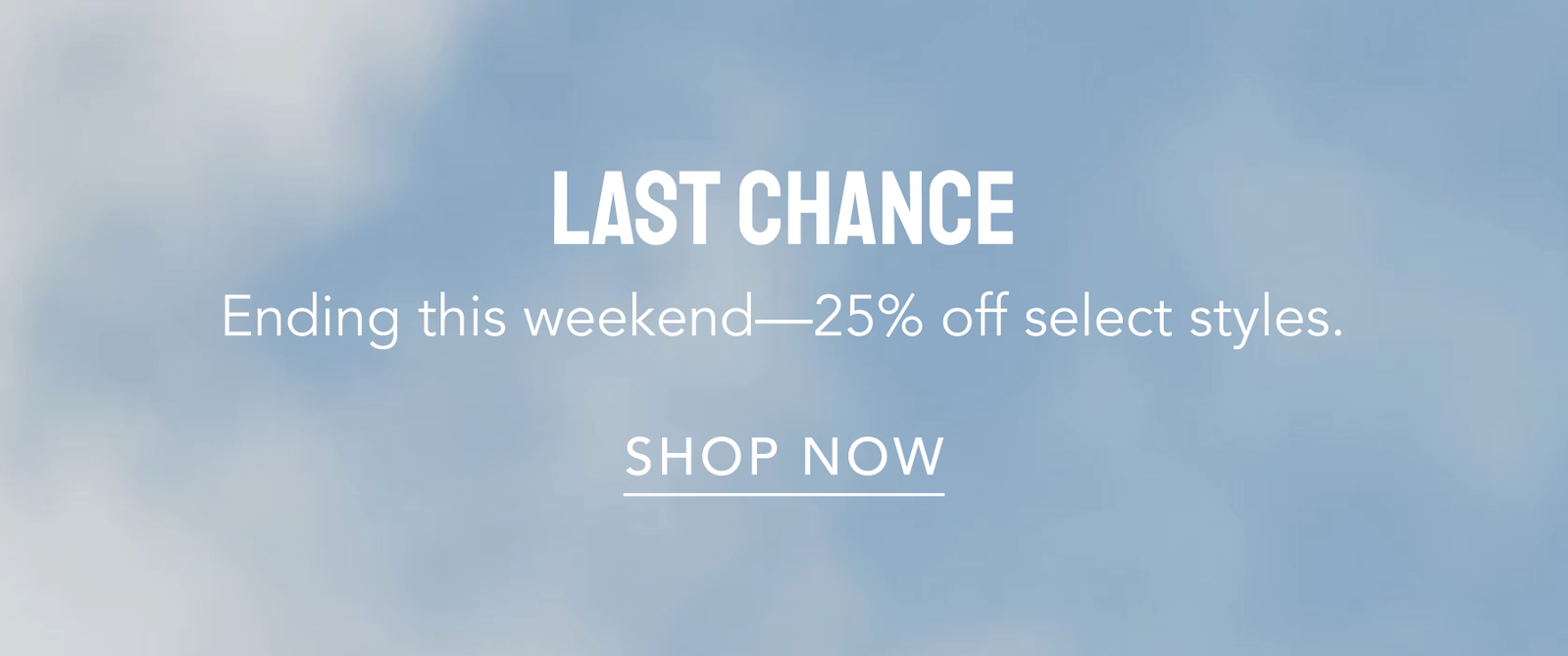 summer sale last chance